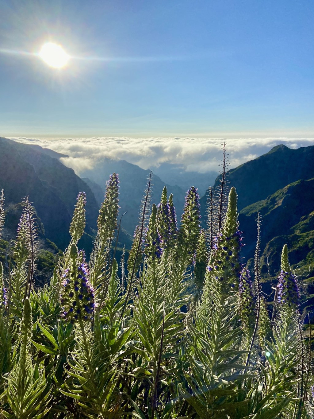 Airbnb vs. Hostel vs.&nbsp;Coliving